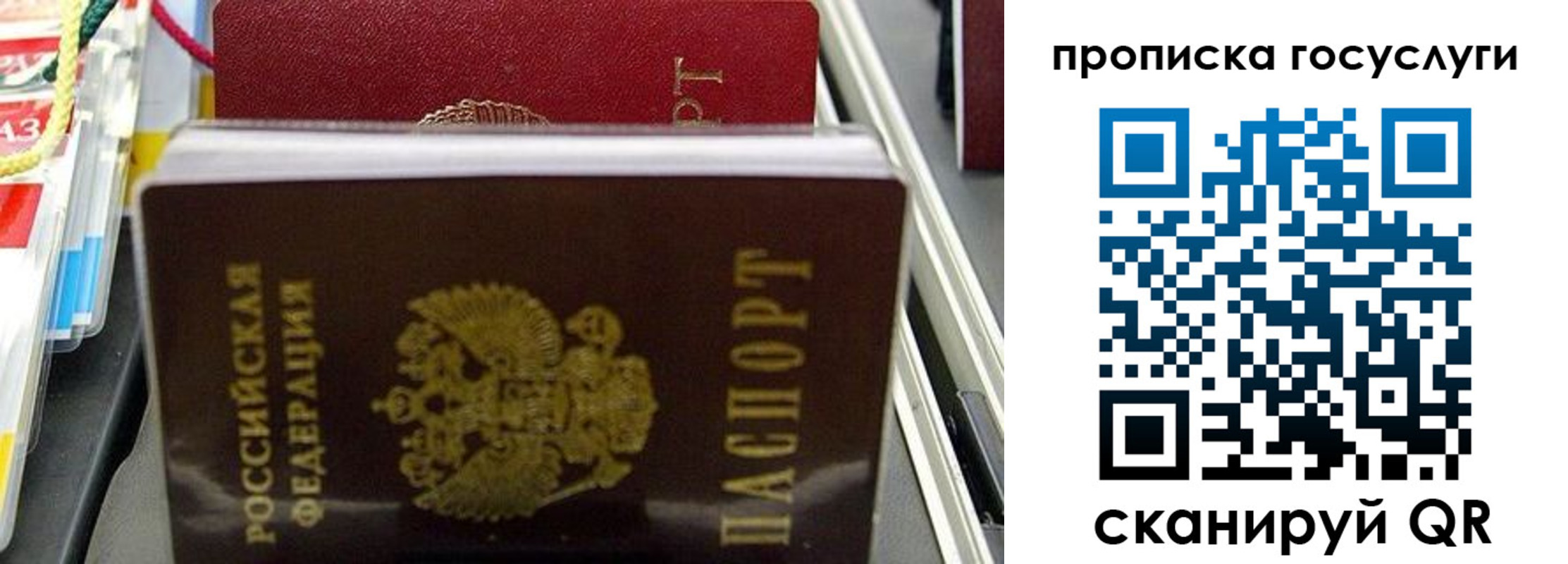 где прописаться в Судогде
